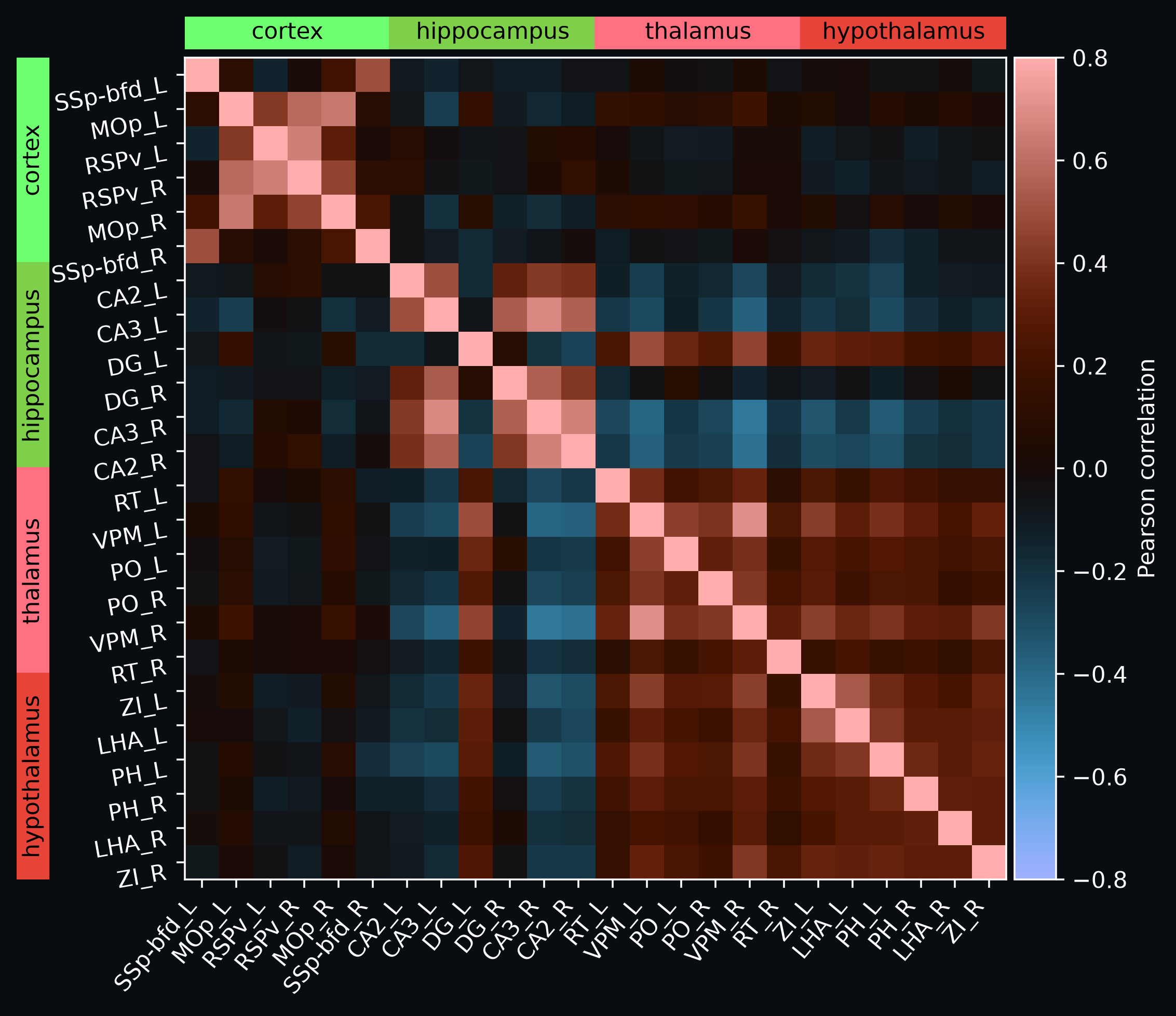 Atlas-based region correlation matrix