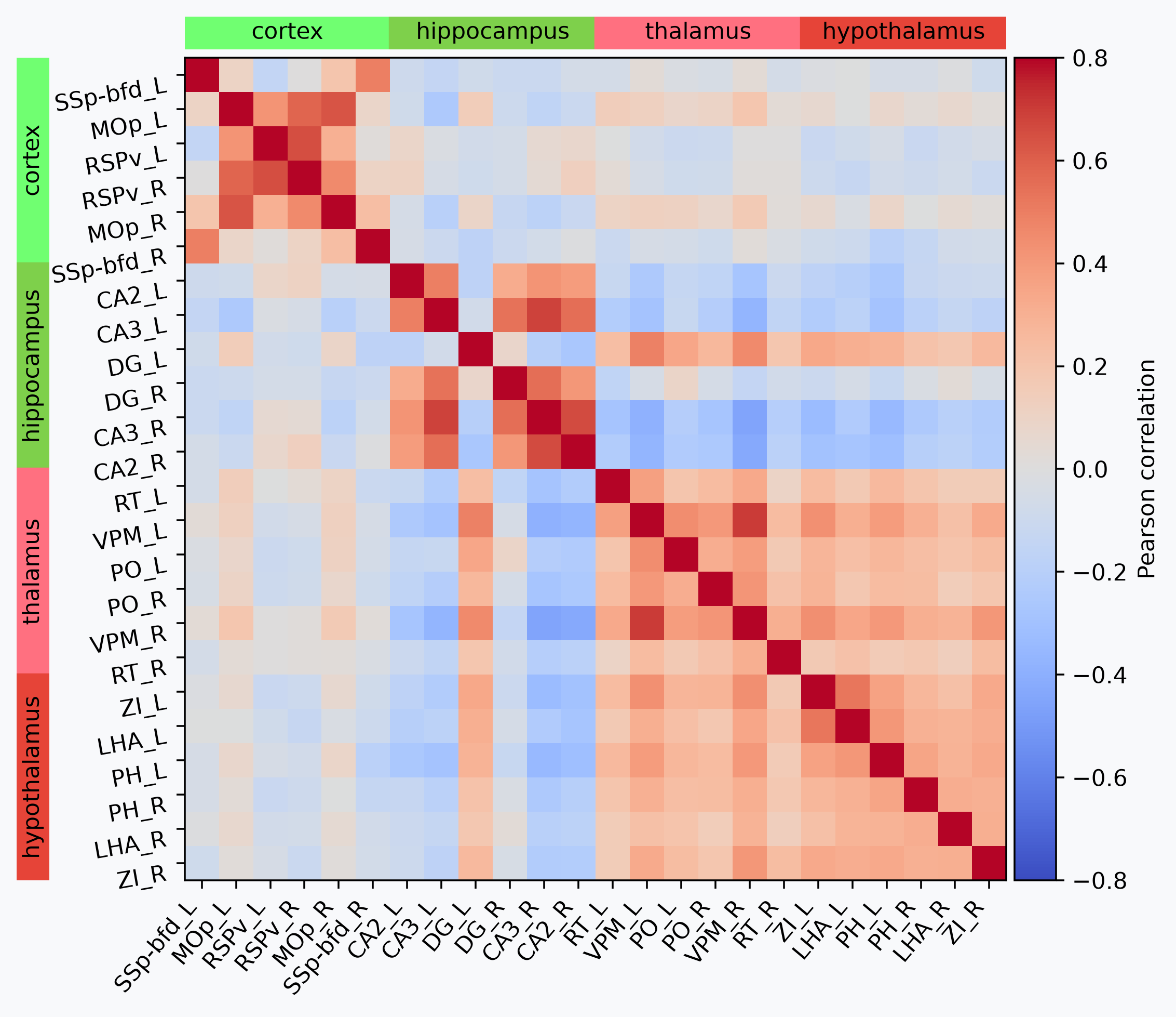 Atlas-based region correlation matrix