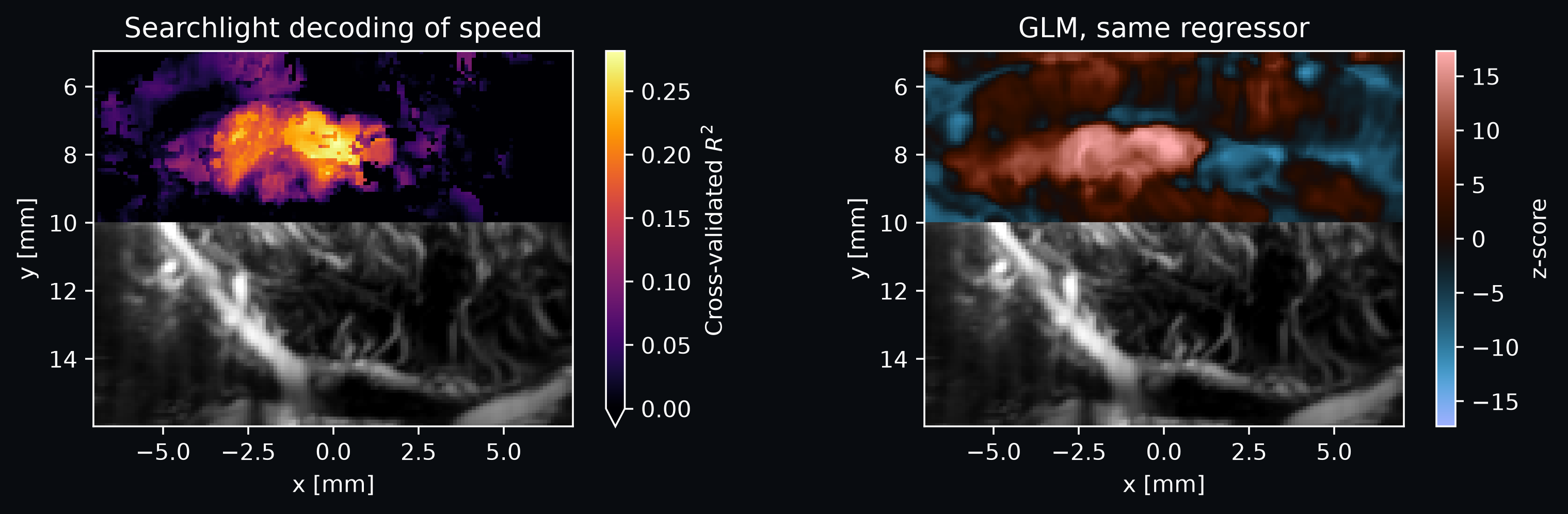Searchlight decoding of a continuous variable