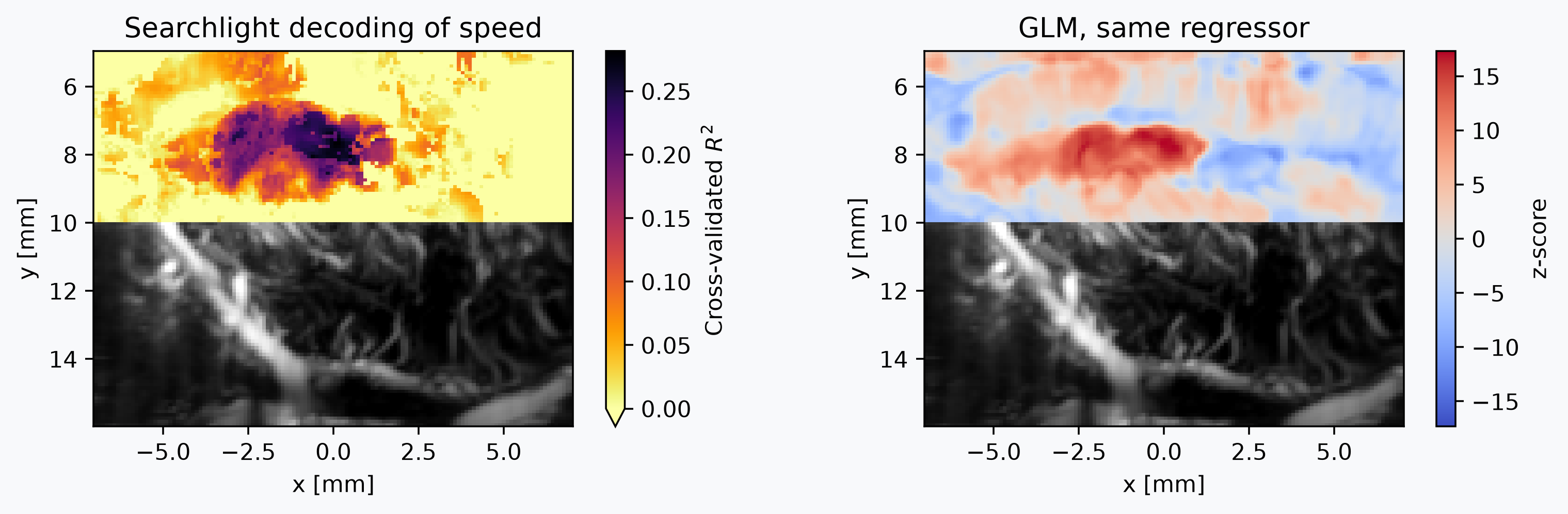 Searchlight decoding of a continuous variable