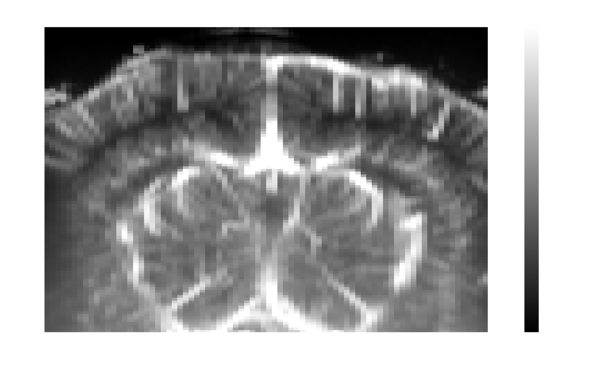 Example output from cell 19, image 0