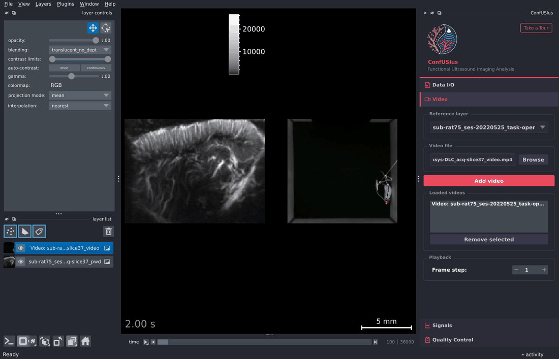 ConfUSIus Video panel — playback