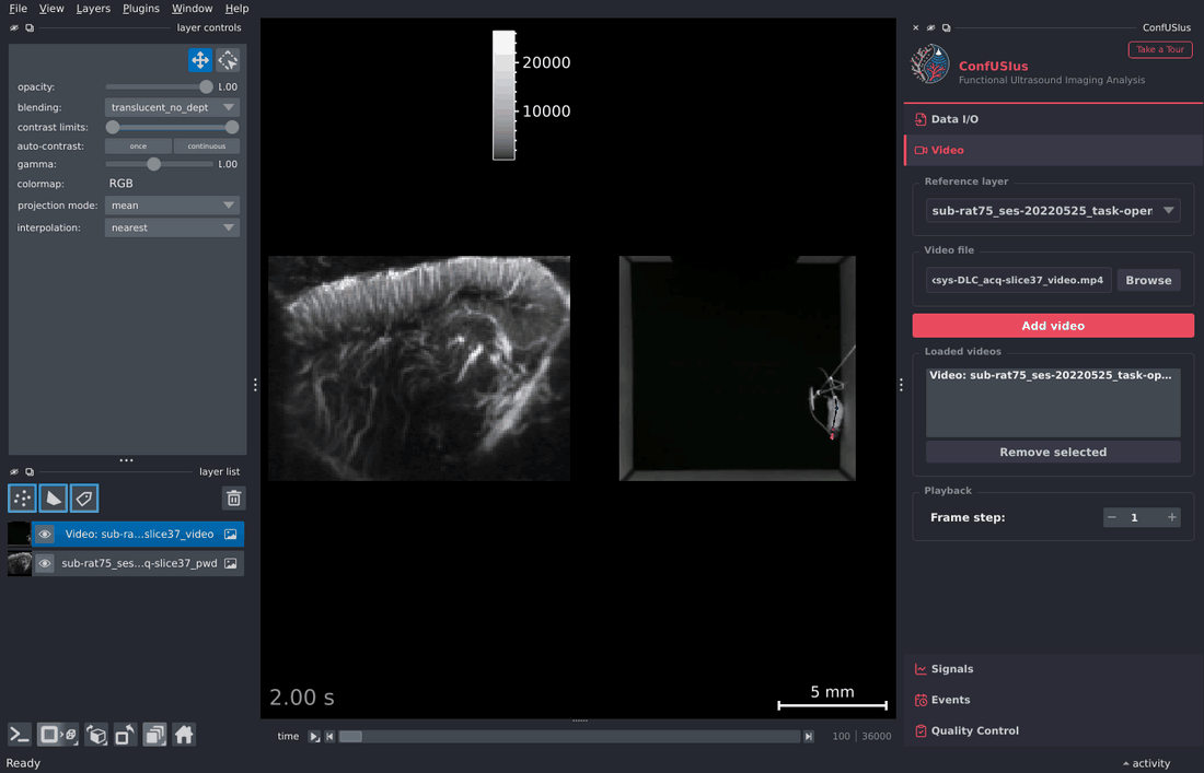 ConfUSIus Video panel — playback