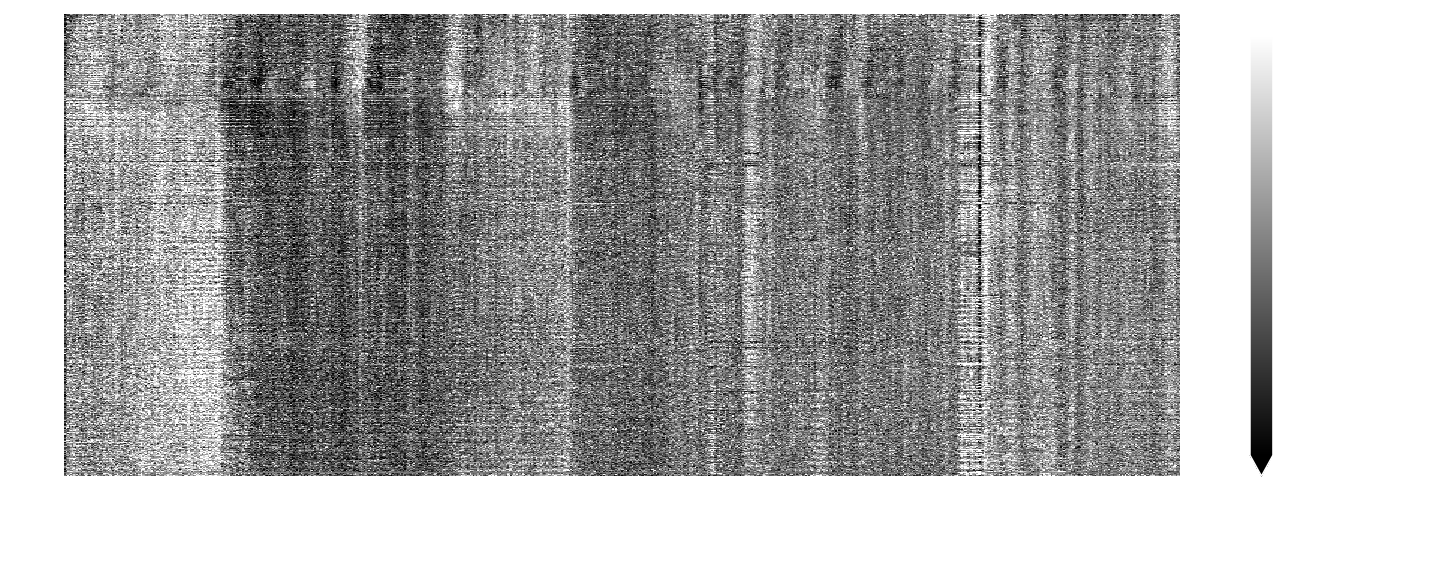 Carpet plot of power Doppler voxel time-series