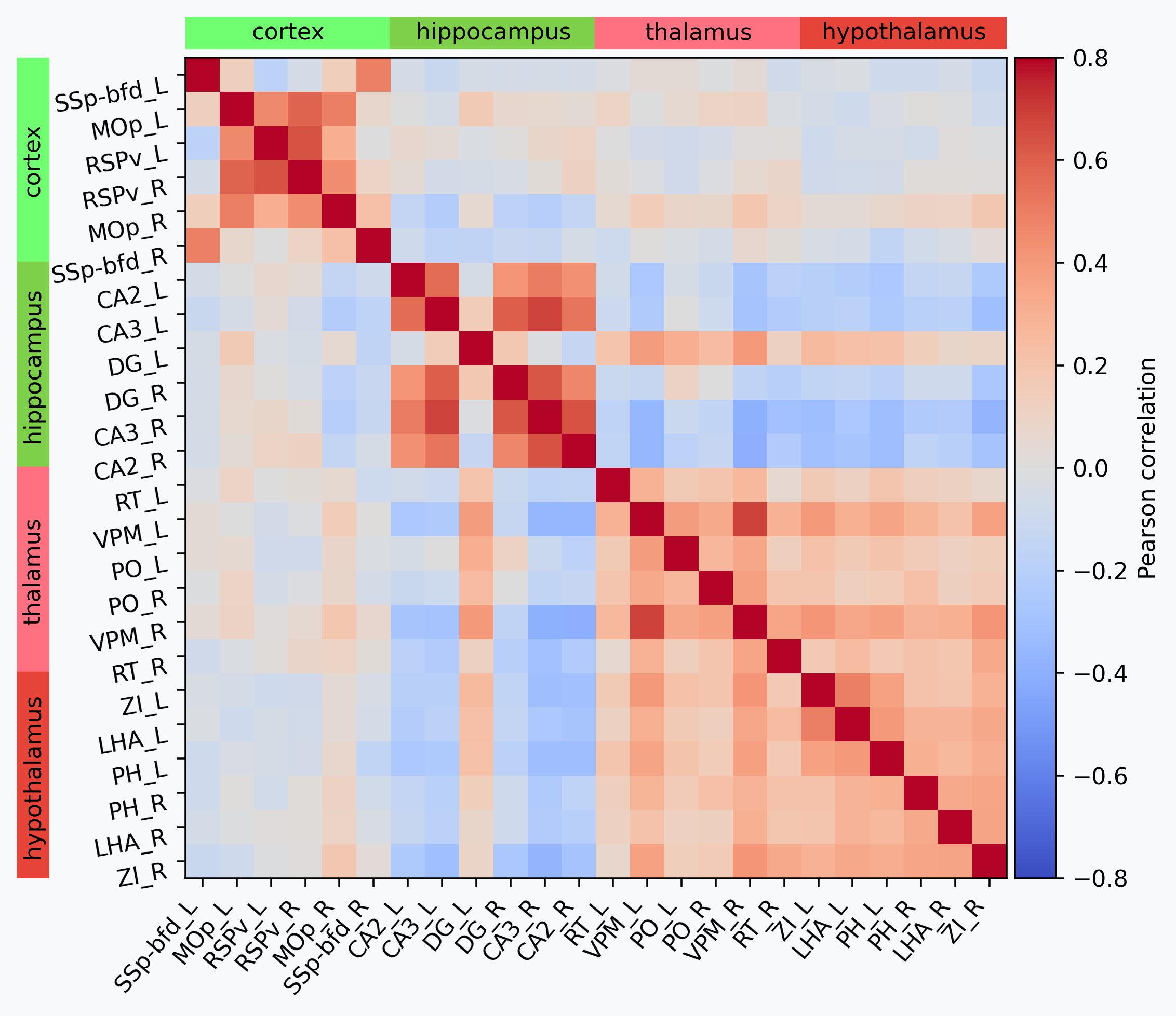Example output from cell 19, image 0