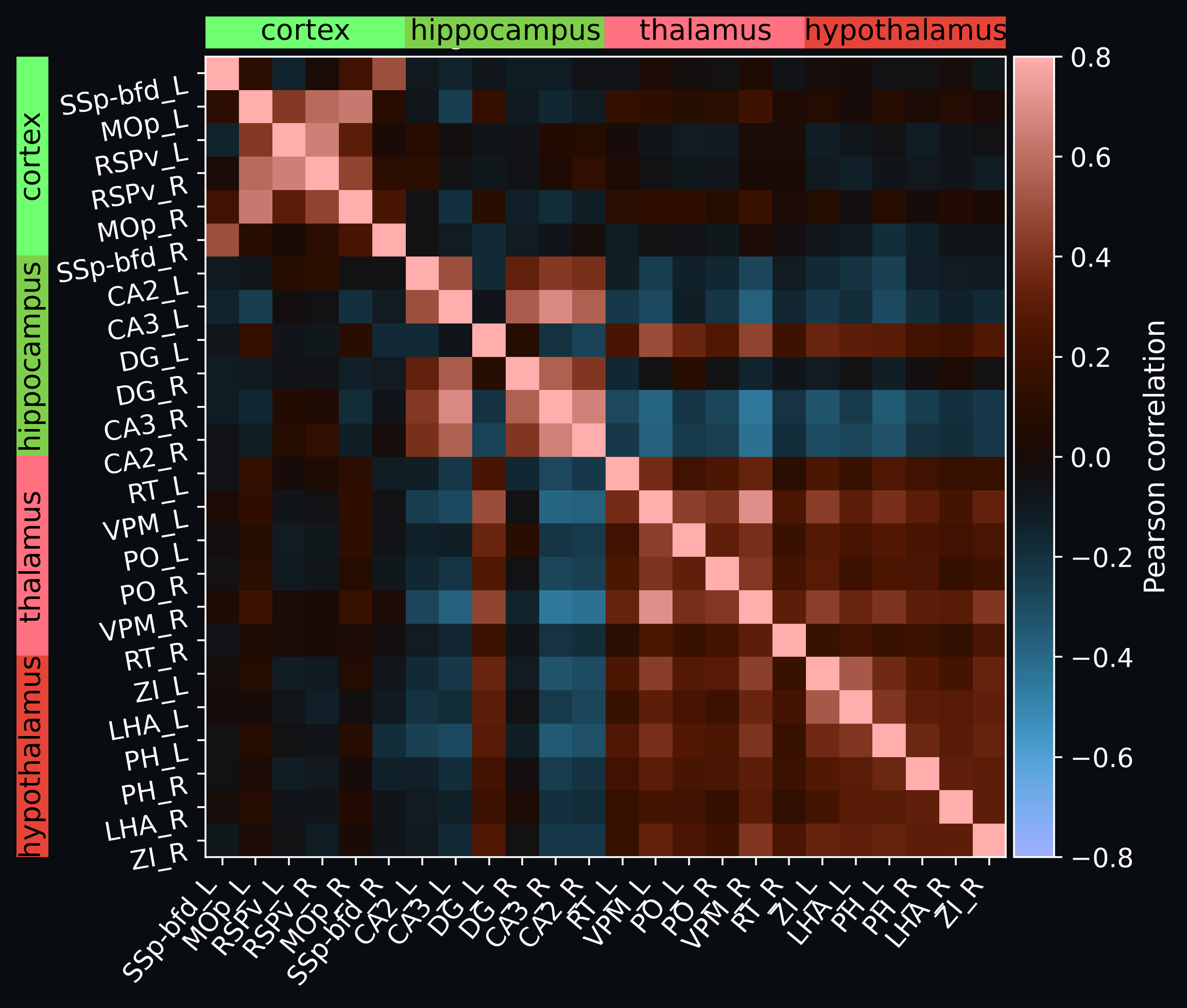 Atlas-based region correlation matrix
