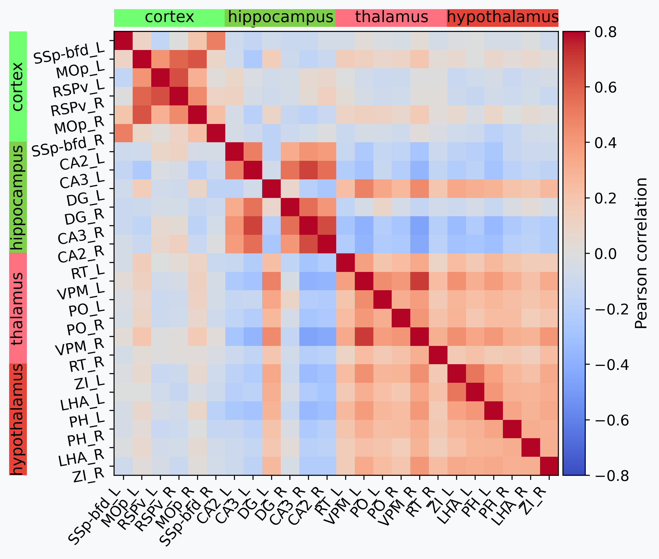 Atlas-based region correlation matrix