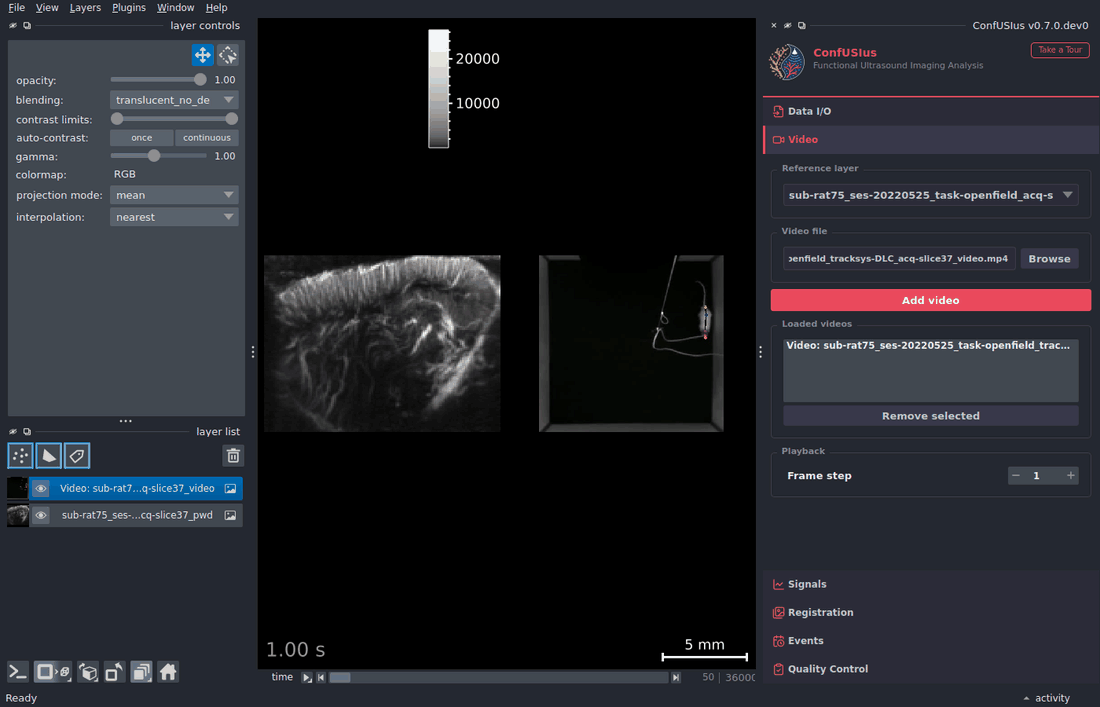 ConfUSIus Video panel — playback