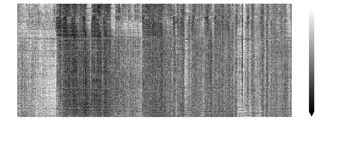 Carpet plot of power Doppler voxel time-series