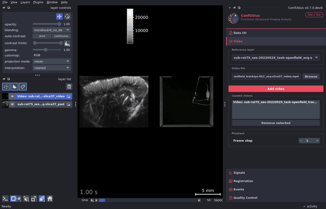 ConfUSIus Video panel — playback