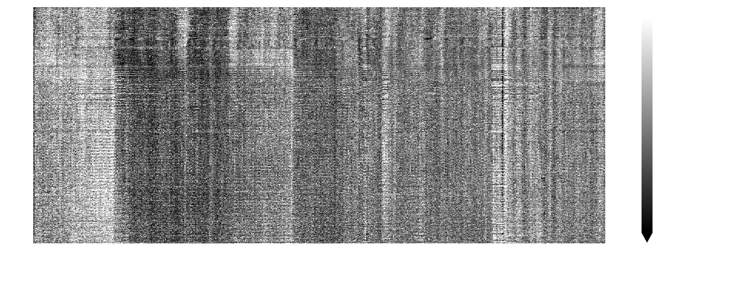 Carpet plot of power Doppler voxel time-series
